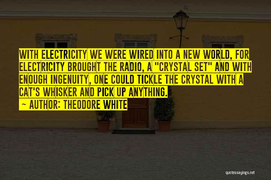Theodore White Quotes: With Electricity We Were Wired Into A New World, For Electricity Brought The Radio, A Crystal Set And With Enough