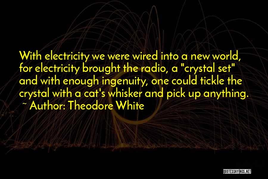 Theodore White Quotes: With Electricity We Were Wired Into A New World, For Electricity Brought The Radio, A Crystal Set And With Enough