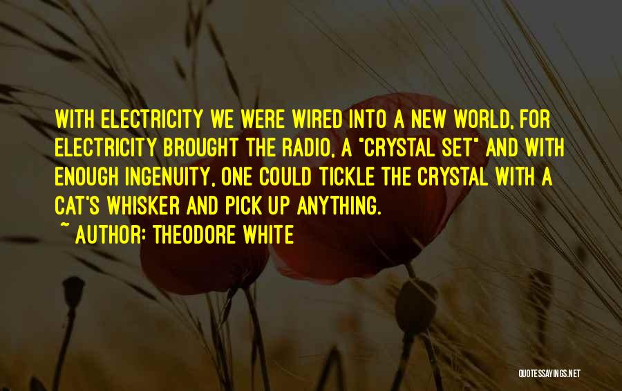 Theodore White Quotes: With Electricity We Were Wired Into A New World, For Electricity Brought The Radio, A Crystal Set And With Enough