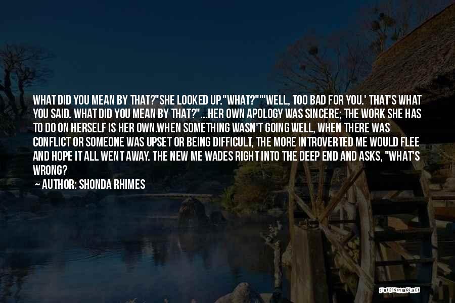 Shonda Rhimes Quotes: What Did You Mean By That?she Looked Up.what?'well, Too Bad For You.' That's What You Said. What Did You Mean