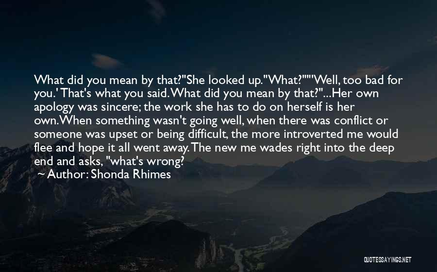 Shonda Rhimes Quotes: What Did You Mean By That?she Looked Up.what?'well, Too Bad For You.' That's What You Said. What Did You Mean