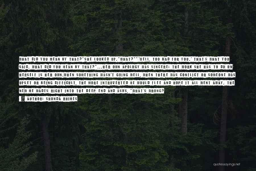 Shonda Rhimes Quotes: What Did You Mean By That?she Looked Up.what?'well, Too Bad For You.' That's What You Said. What Did You Mean