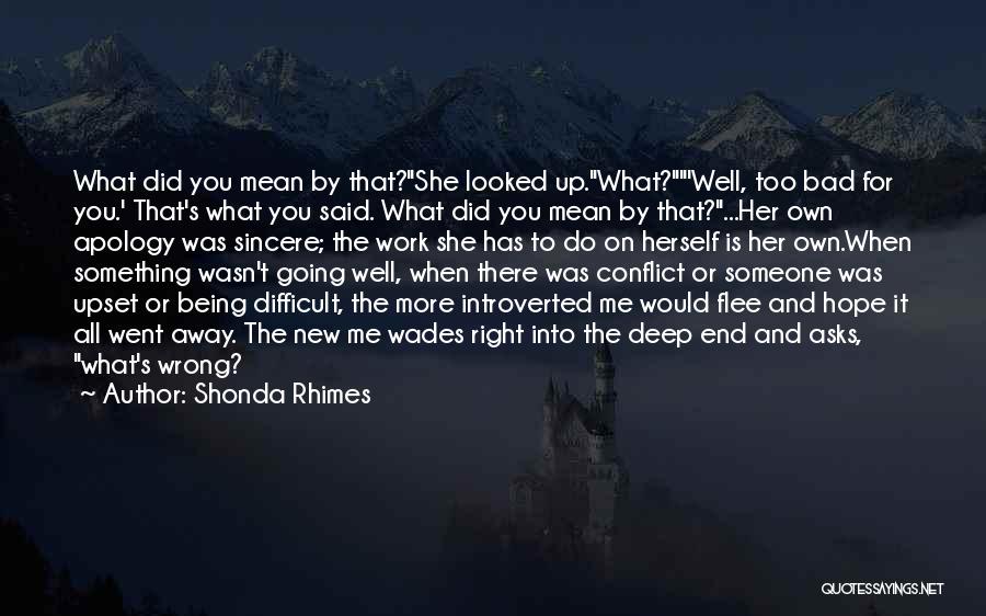 Shonda Rhimes Quotes: What Did You Mean By That?she Looked Up.what?'well, Too Bad For You.' That's What You Said. What Did You Mean