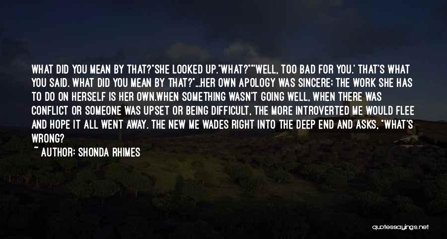 Shonda Rhimes Quotes: What Did You Mean By That?she Looked Up.what?'well, Too Bad For You.' That's What You Said. What Did You Mean