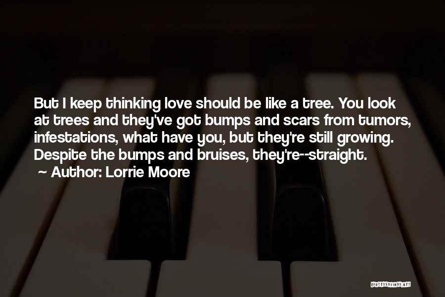 Lorrie Moore Quotes: But I Keep Thinking Love Should Be Like A Tree. You Look At Trees And They've Got Bumps And Scars