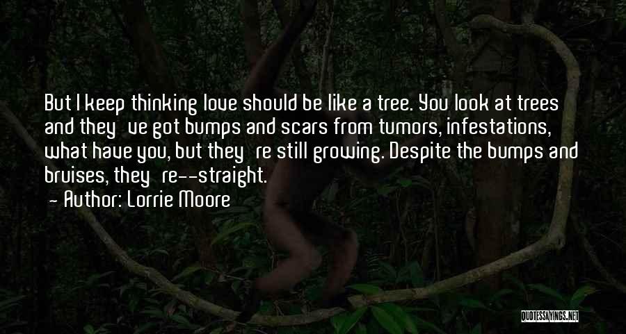 Lorrie Moore Quotes: But I Keep Thinking Love Should Be Like A Tree. You Look At Trees And They've Got Bumps And Scars