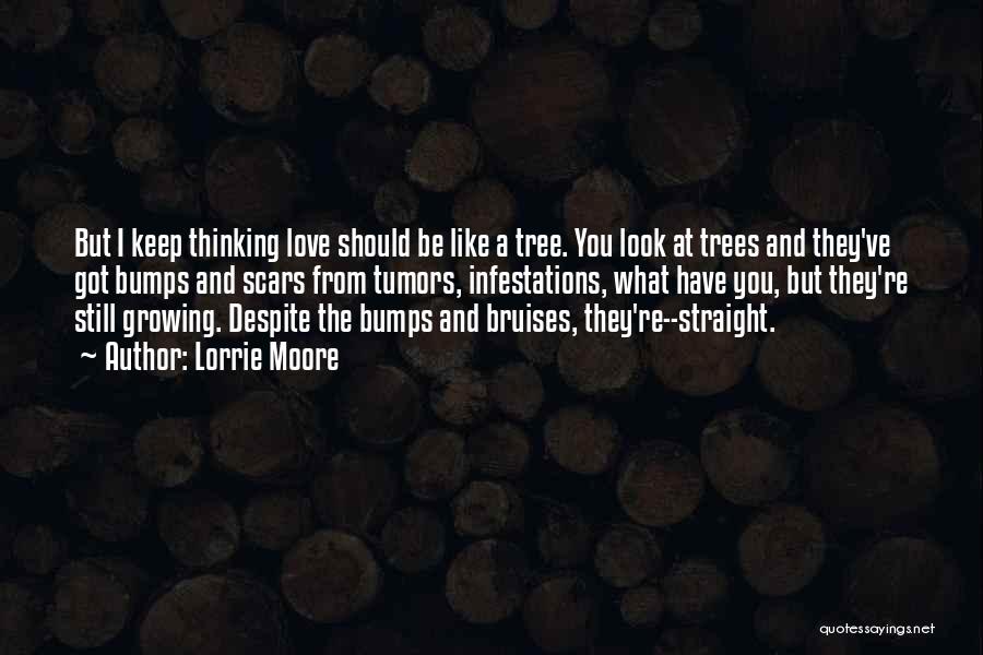 Lorrie Moore Quotes: But I Keep Thinking Love Should Be Like A Tree. You Look At Trees And They've Got Bumps And Scars