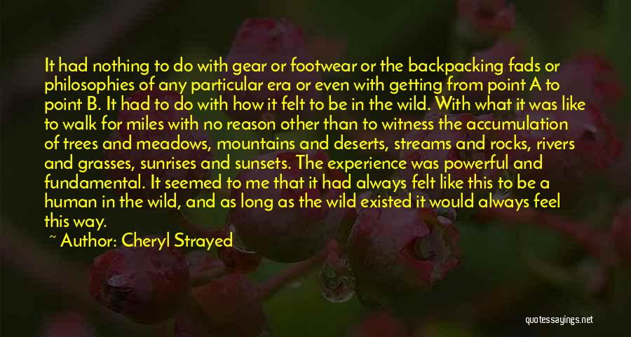 Cheryl Strayed Quotes: It Had Nothing To Do With Gear Or Footwear Or The Backpacking Fads Or Philosophies Of Any Particular Era Or