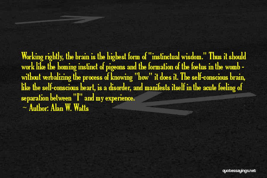 Alan W. Watts Quotes: Working Rightly, The Brain Is The Highest Form Of Instinctual Wisdom. Thus It Should Work Like The Homing Instinct Of