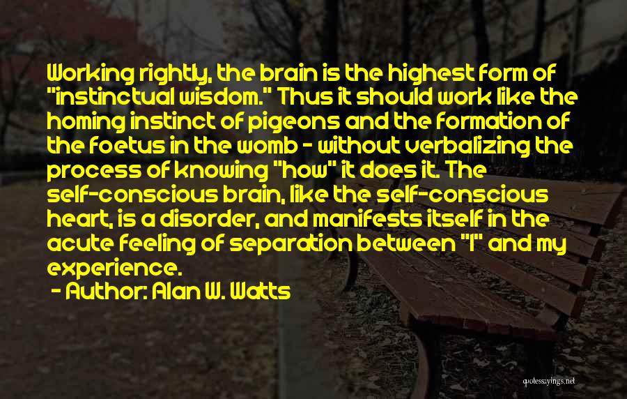 Alan W. Watts Quotes: Working Rightly, The Brain Is The Highest Form Of Instinctual Wisdom. Thus It Should Work Like The Homing Instinct Of