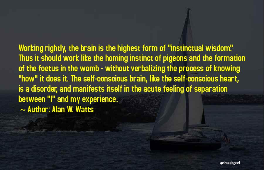 Alan W. Watts Quotes: Working Rightly, The Brain Is The Highest Form Of Instinctual Wisdom. Thus It Should Work Like The Homing Instinct Of