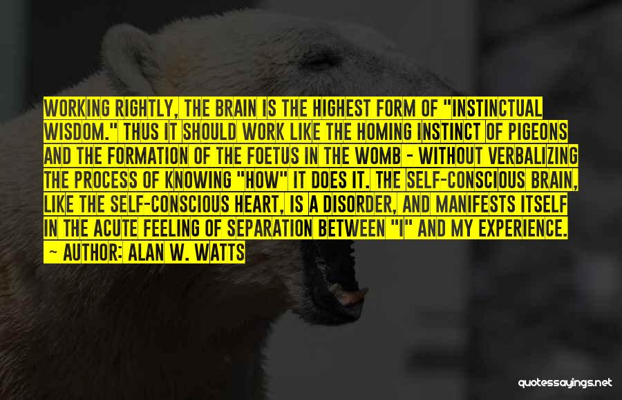 Alan W. Watts Quotes: Working Rightly, The Brain Is The Highest Form Of Instinctual Wisdom. Thus It Should Work Like The Homing Instinct Of