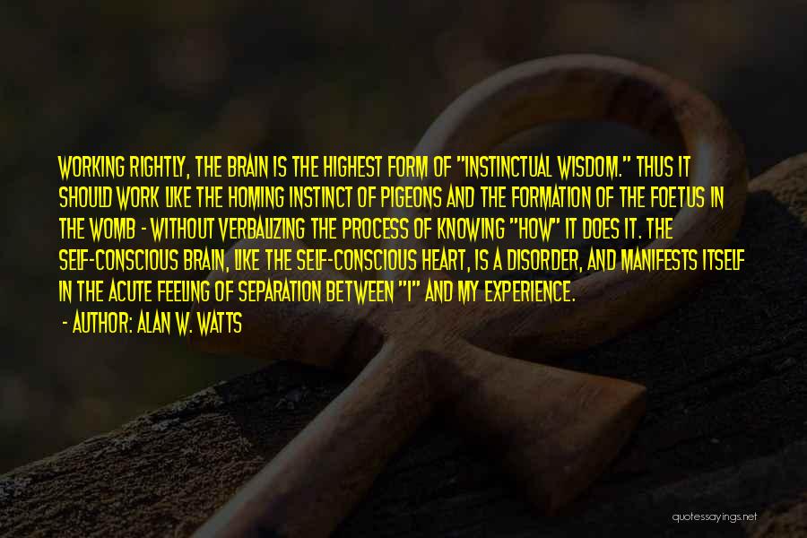 Alan W. Watts Quotes: Working Rightly, The Brain Is The Highest Form Of Instinctual Wisdom. Thus It Should Work Like The Homing Instinct Of