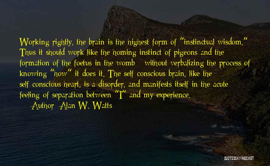 Alan W. Watts Quotes: Working Rightly, The Brain Is The Highest Form Of Instinctual Wisdom. Thus It Should Work Like The Homing Instinct Of