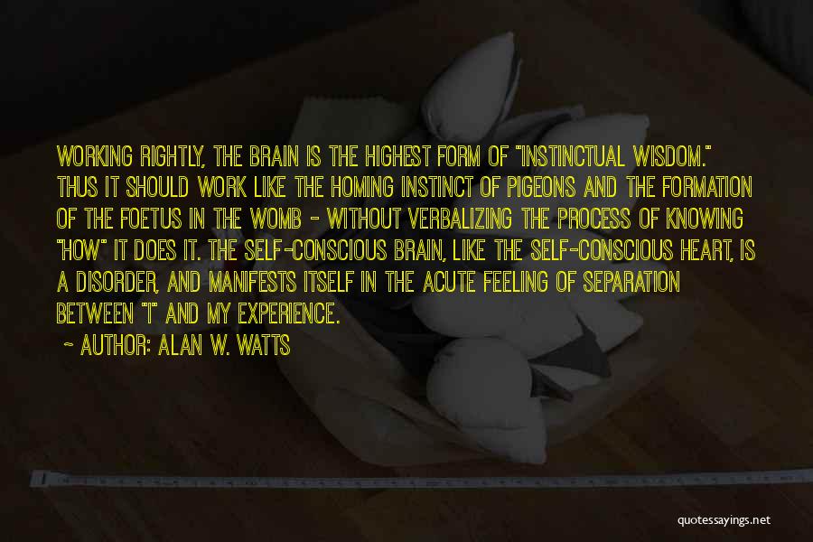 Alan W. Watts Quotes: Working Rightly, The Brain Is The Highest Form Of Instinctual Wisdom. Thus It Should Work Like The Homing Instinct Of