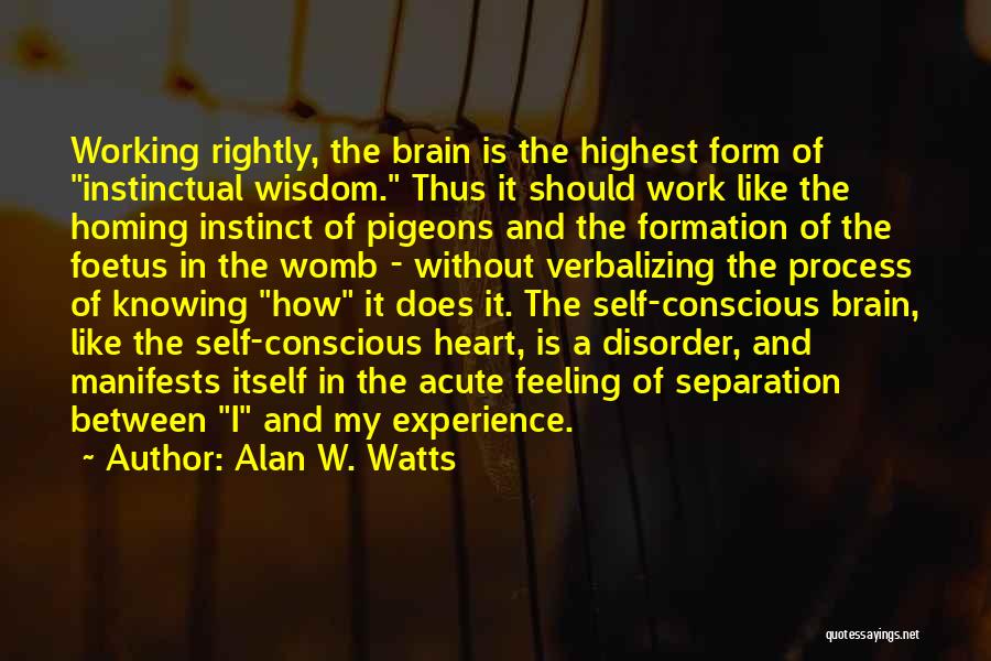 Alan W. Watts Quotes: Working Rightly, The Brain Is The Highest Form Of Instinctual Wisdom. Thus It Should Work Like The Homing Instinct Of