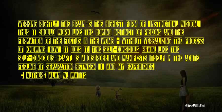 Alan W. Watts Quotes: Working Rightly, The Brain Is The Highest Form Of Instinctual Wisdom. Thus It Should Work Like The Homing Instinct Of