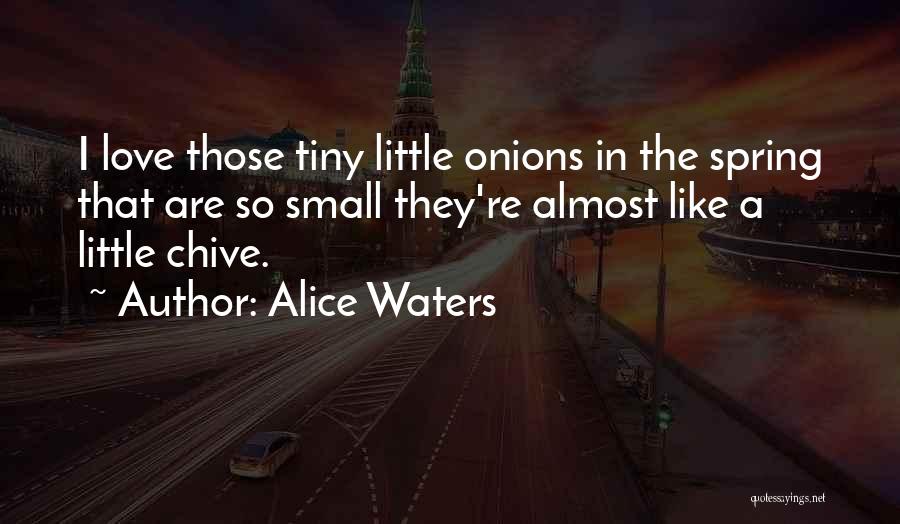 Alice Waters Quotes: I Love Those Tiny Little Onions In The Spring That Are So Small They're Almost Like A Little Chive.