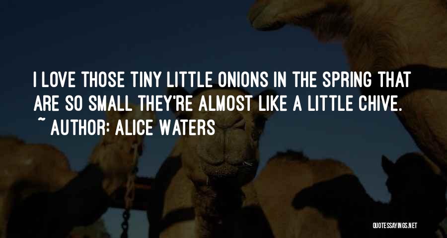 Alice Waters Quotes: I Love Those Tiny Little Onions In The Spring That Are So Small They're Almost Like A Little Chive.