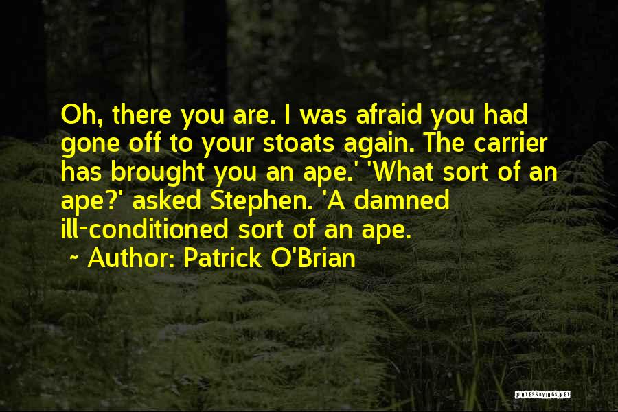 Patrick O'Brian Quotes: Oh, There You Are. I Was Afraid You Had Gone Off To Your Stoats Again. The Carrier Has Brought You