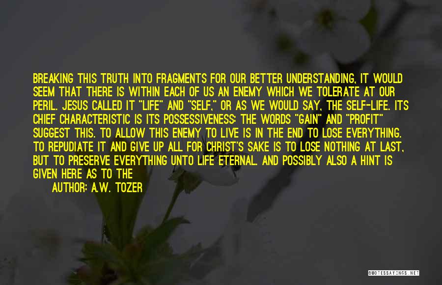 A.W. Tozer Quotes: Breaking This Truth Into Fragments For Our Better Understanding, It Would Seem That There Is Within Each Of Us An