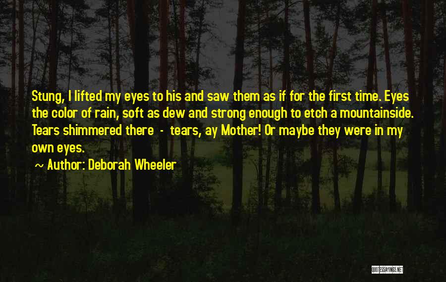 Deborah Wheeler Quotes: Stung, I Lifted My Eyes To His And Saw Them As If For The First Time. Eyes The Color Of