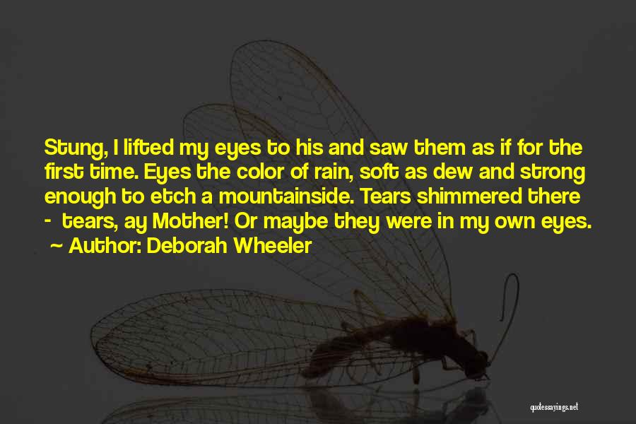 Deborah Wheeler Quotes: Stung, I Lifted My Eyes To His And Saw Them As If For The First Time. Eyes The Color Of