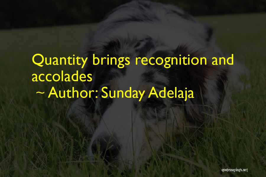 Sunday Adelaja Quotes: Quantity Brings Recognition And Accolades
