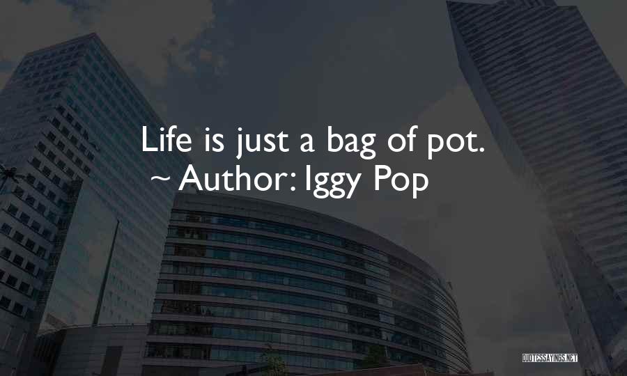 Iggy Pop Quotes: Life Is Just A Bag Of Pot.