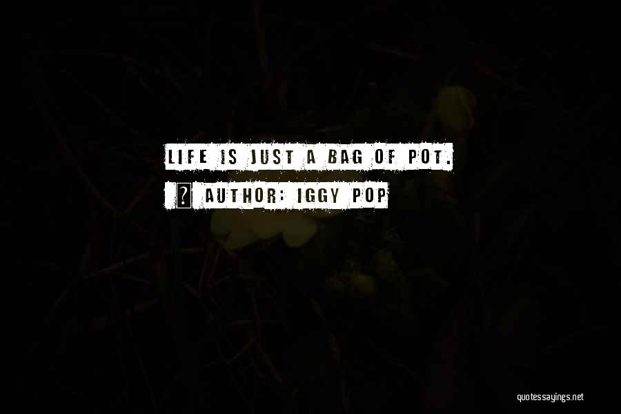 Iggy Pop Quotes: Life Is Just A Bag Of Pot.