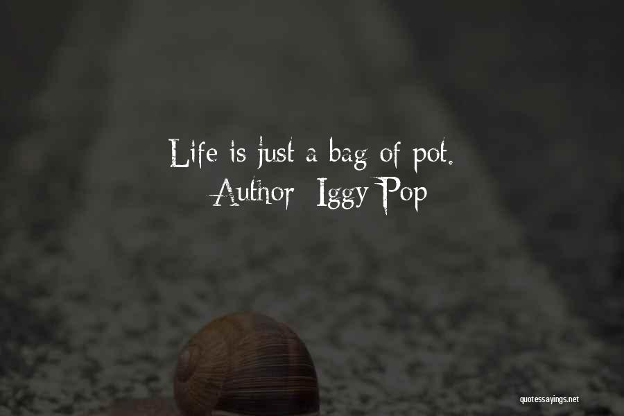 Iggy Pop Quotes: Life Is Just A Bag Of Pot.