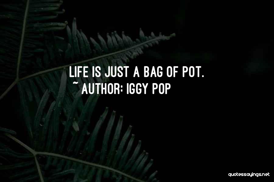 Iggy Pop Quotes: Life Is Just A Bag Of Pot.