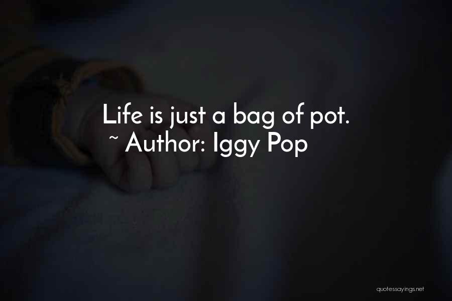 Iggy Pop Quotes: Life Is Just A Bag Of Pot.