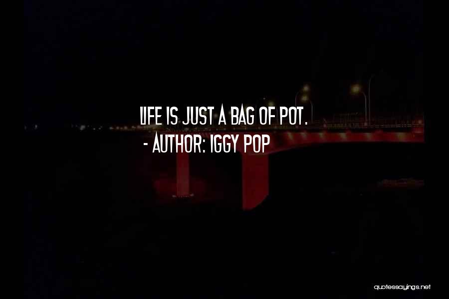 Iggy Pop Quotes: Life Is Just A Bag Of Pot.