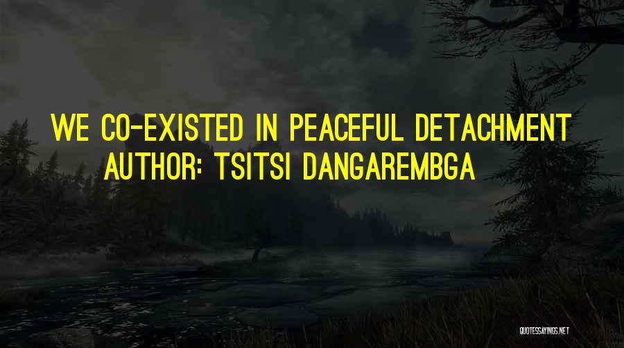 Tsitsi Dangarembga Quotes: We Co-existed In Peaceful Detachment