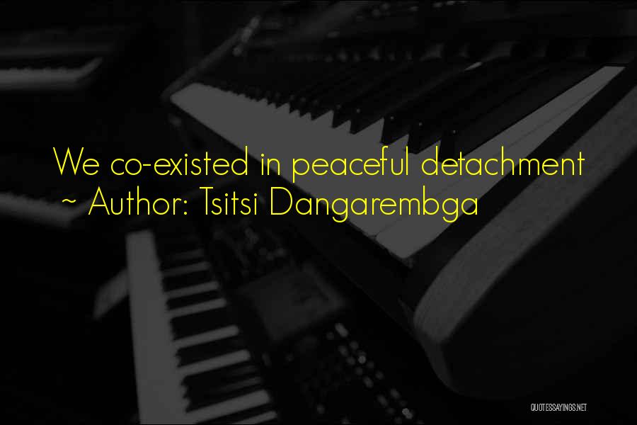 Tsitsi Dangarembga Quotes: We Co-existed In Peaceful Detachment