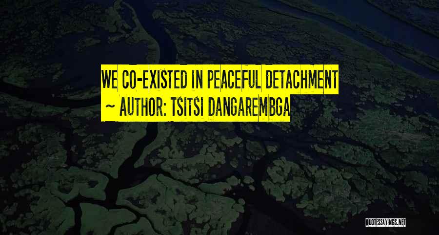 Tsitsi Dangarembga Quotes: We Co-existed In Peaceful Detachment