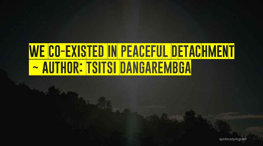 Tsitsi Dangarembga Quotes: We Co-existed In Peaceful Detachment