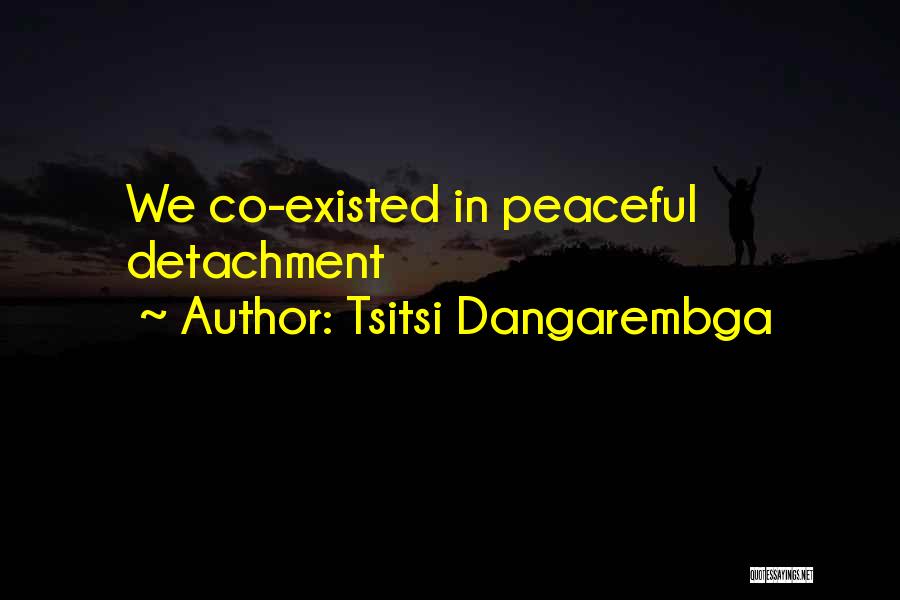 Tsitsi Dangarembga Quotes: We Co-existed In Peaceful Detachment