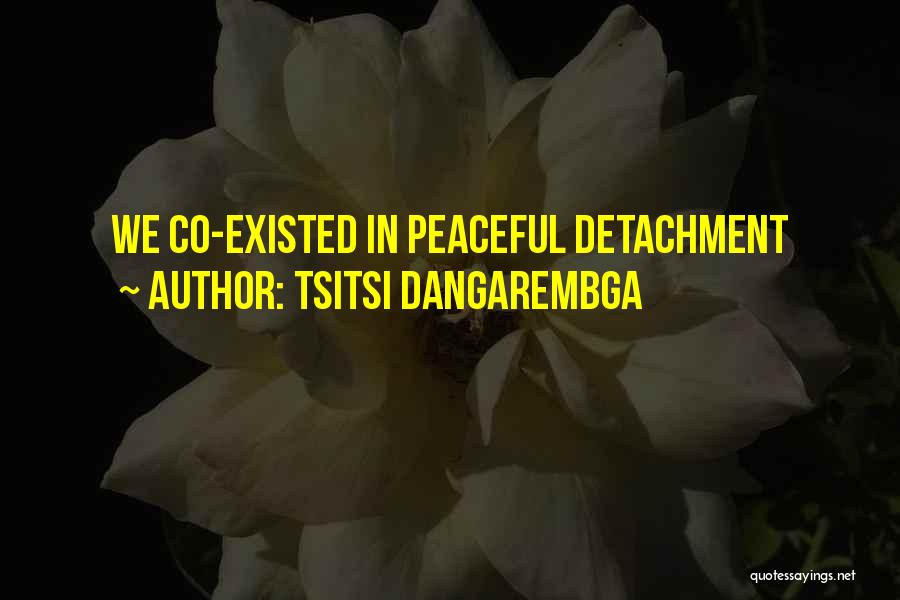 Tsitsi Dangarembga Quotes: We Co-existed In Peaceful Detachment