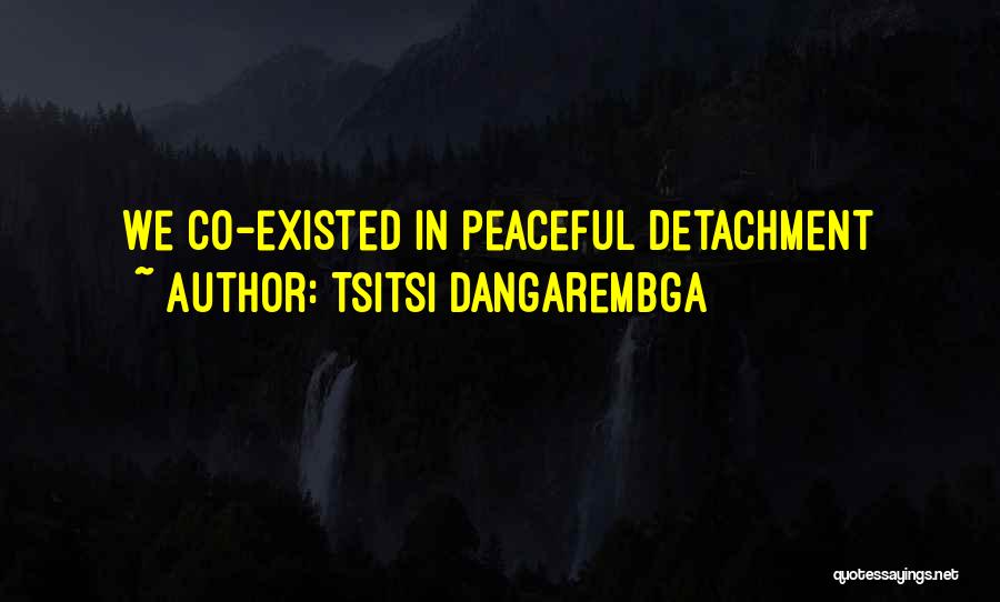 Tsitsi Dangarembga Quotes: We Co-existed In Peaceful Detachment