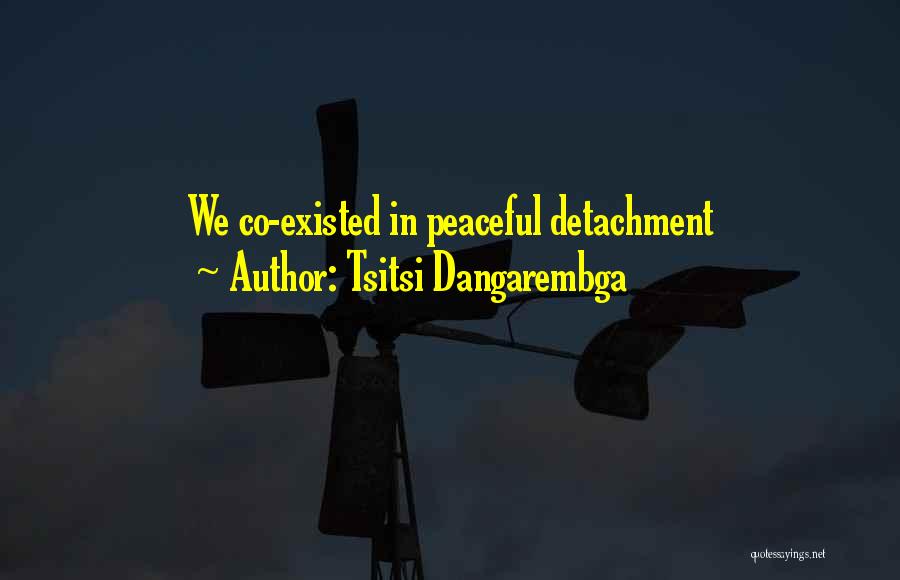 Tsitsi Dangarembga Quotes: We Co-existed In Peaceful Detachment