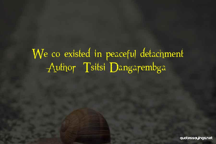 Tsitsi Dangarembga Quotes: We Co-existed In Peaceful Detachment