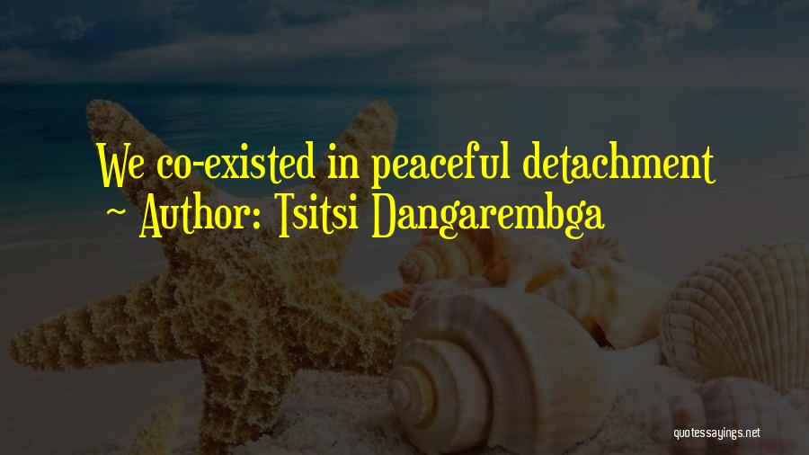 Tsitsi Dangarembga Quotes: We Co-existed In Peaceful Detachment