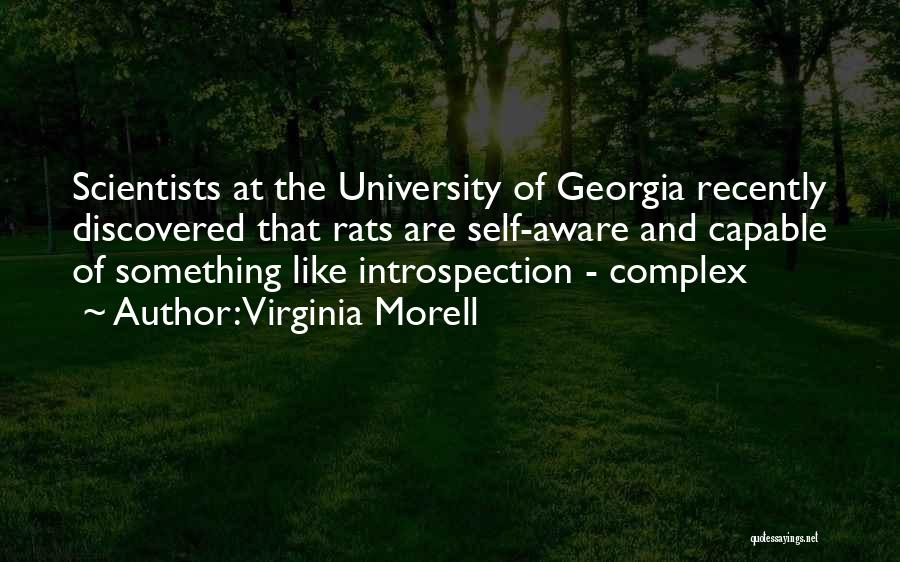 Virginia Morell Quotes: Scientists At The University Of Georgia Recently Discovered That Rats Are Self-aware And Capable Of Something Like Introspection - Complex