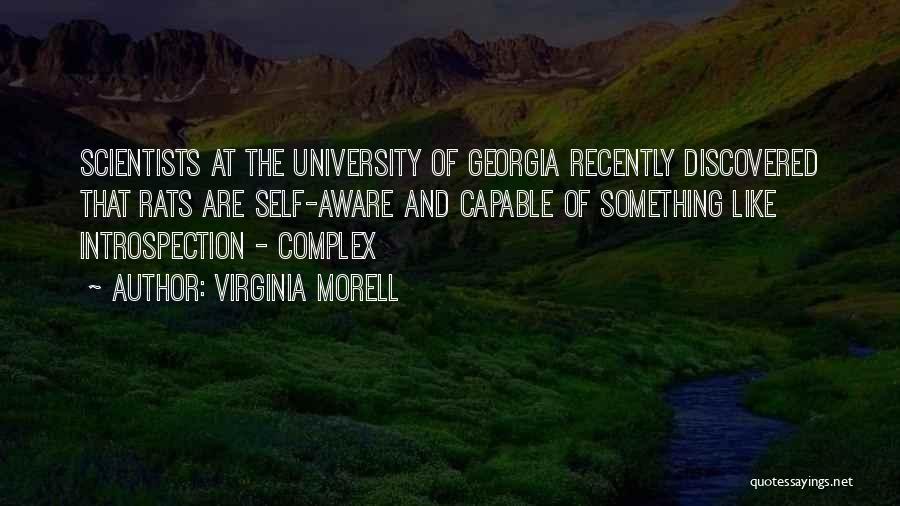 Virginia Morell Quotes: Scientists At The University Of Georgia Recently Discovered That Rats Are Self-aware And Capable Of Something Like Introspection - Complex