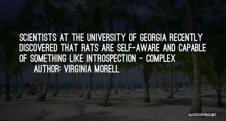 Virginia Morell Quotes: Scientists At The University Of Georgia Recently Discovered That Rats Are Self-aware And Capable Of Something Like Introspection - Complex