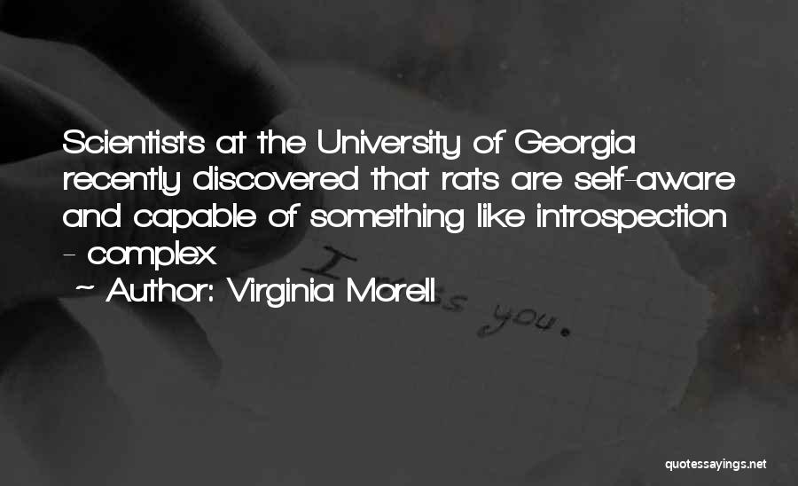 Virginia Morell Quotes: Scientists At The University Of Georgia Recently Discovered That Rats Are Self-aware And Capable Of Something Like Introspection - Complex