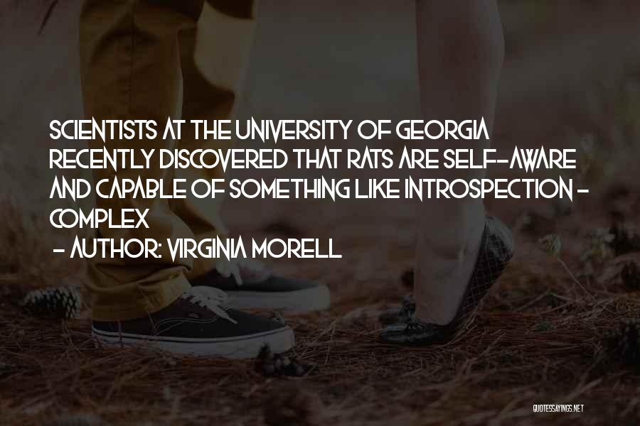 Virginia Morell Quotes: Scientists At The University Of Georgia Recently Discovered That Rats Are Self-aware And Capable Of Something Like Introspection - Complex
