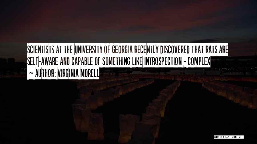 Virginia Morell Quotes: Scientists At The University Of Georgia Recently Discovered That Rats Are Self-aware And Capable Of Something Like Introspection - Complex